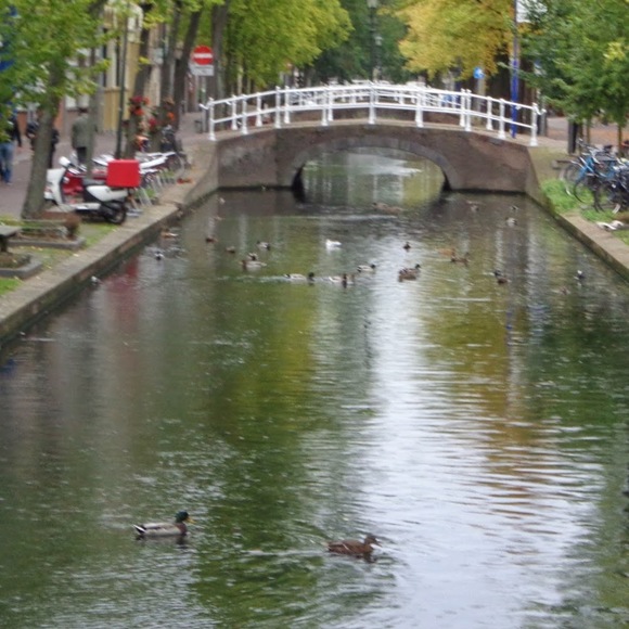 Meet your Posher, M - Picture 1 of 1